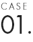 case-number